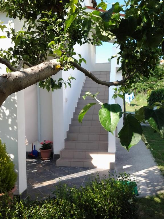 Holiday S&M Apartment Lopar