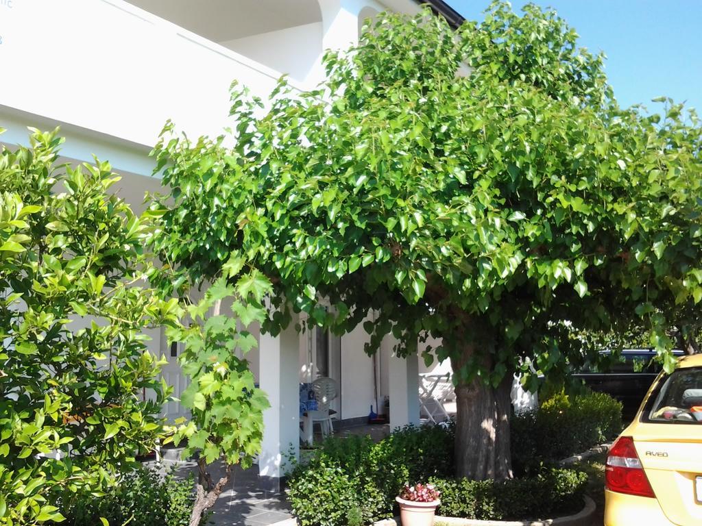 Holiday S&M Apartment *