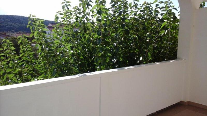 Appartement S&m
